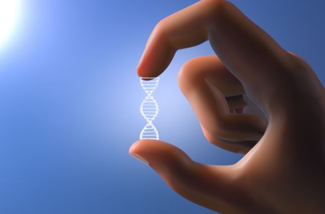 Can DNA test help in genealogical research?