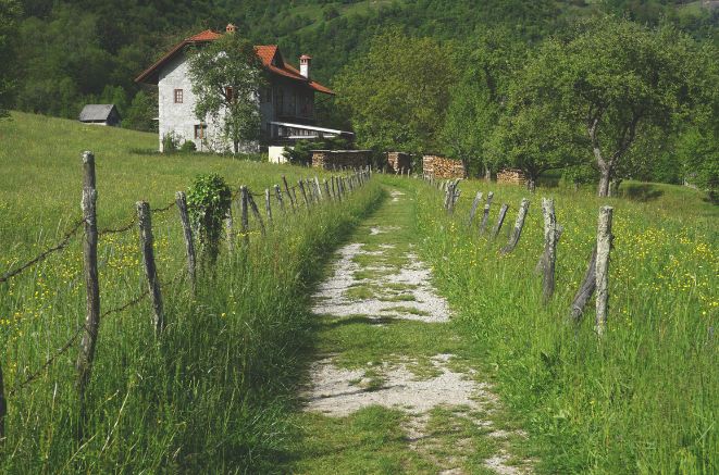 Deanery Jordanów – an unknown heritage. How to find your own roots?