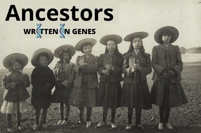 Ancestors written in genes
