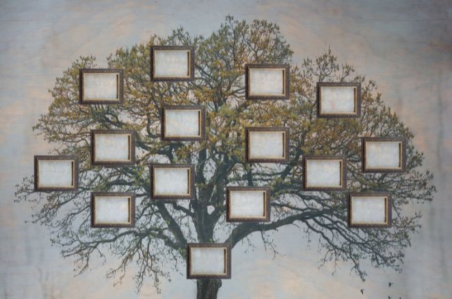 Where to build your family tree?