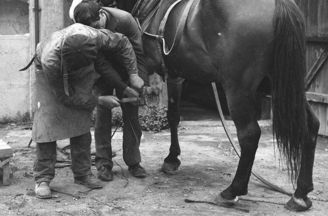 Najpopularniejsze nazwiska w Polsce. Skąd się wzięły?