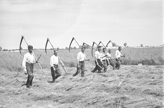 Pre-war Polish countryside in archival photographs [GALLERY]