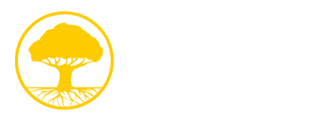 Your Roots in Poland